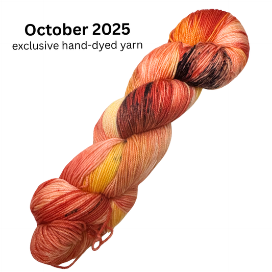 Yarn-Lover Subscription Box